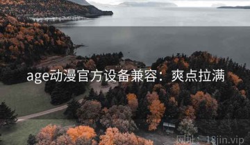 age动漫官方设备兼容：爽点拉满